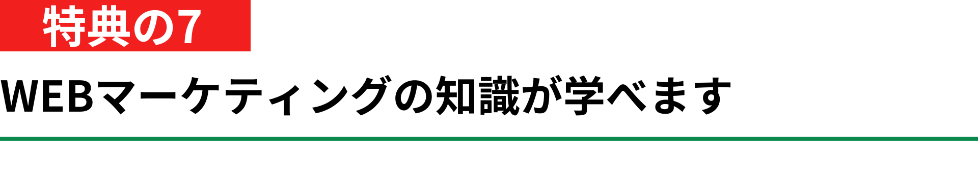 特典のその7のマーケティングの知識の提供